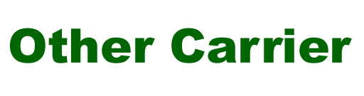 Other Carrier